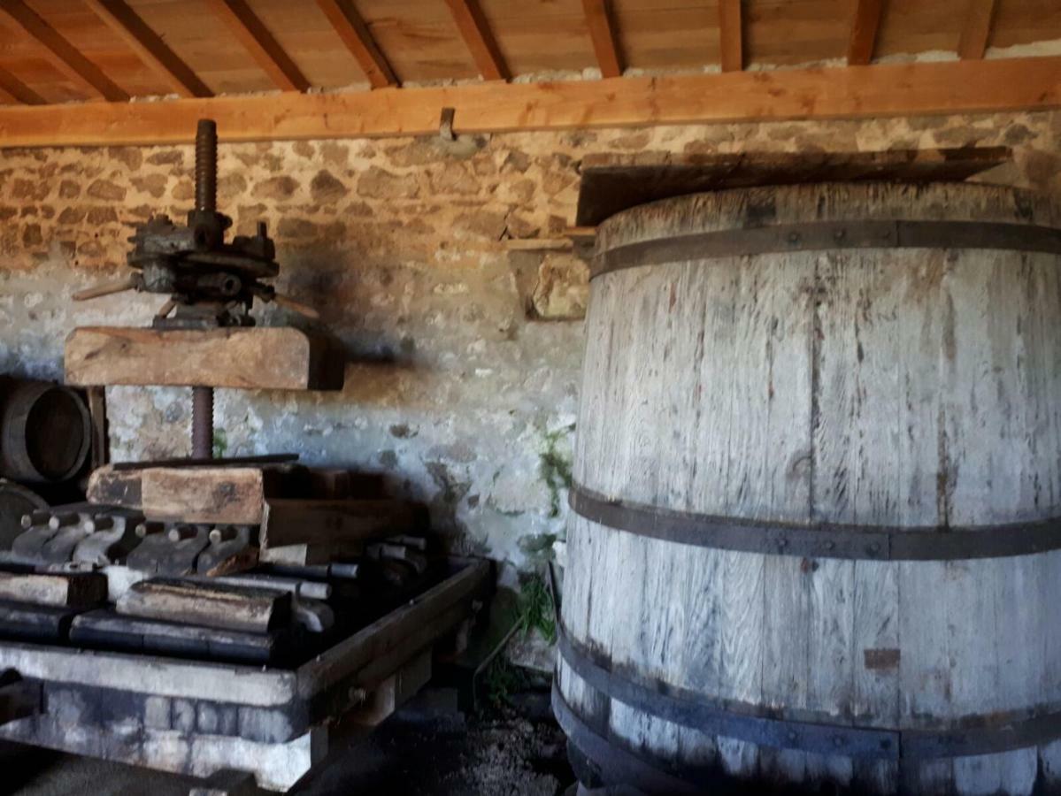 Grand Gite Maison D Alice Auvergne - 15 Personnes Saint-Bonnet-des-Quarts Экстерьер фото